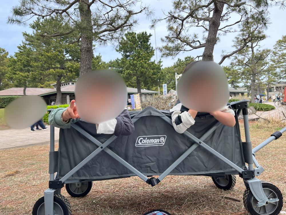 キャリアワゴンの写真