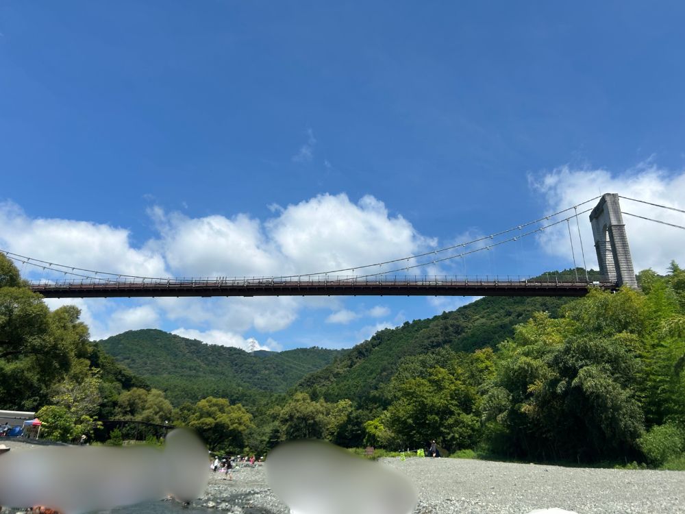 風の吊り橋の写真