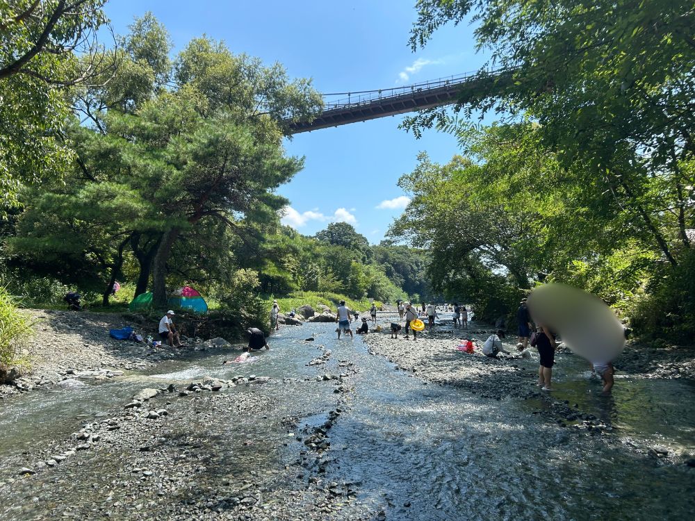 水無川と風の吊り橋の写真
