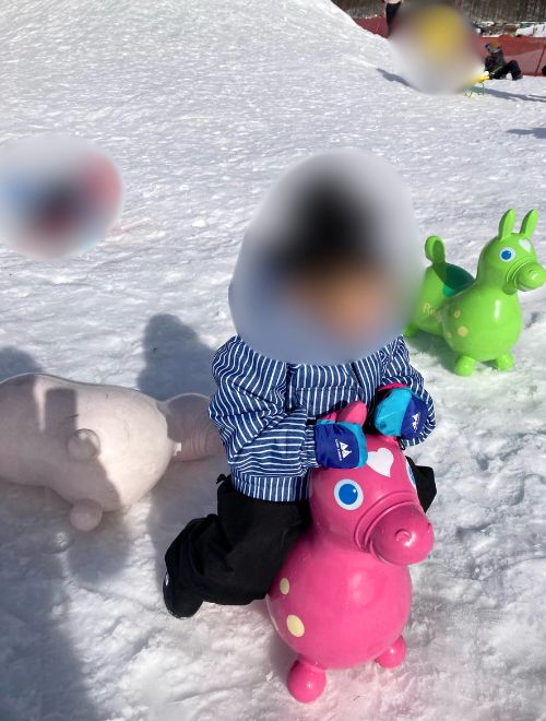 ロディに乗ってる子供の写真