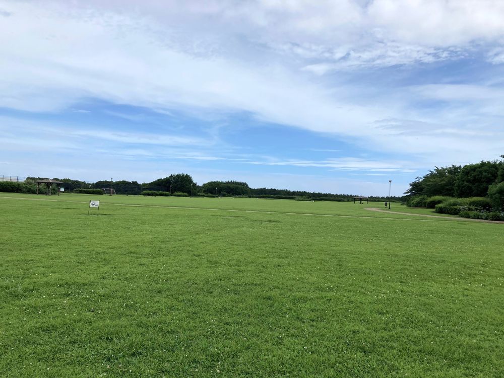 柳島しおさい公園の写真