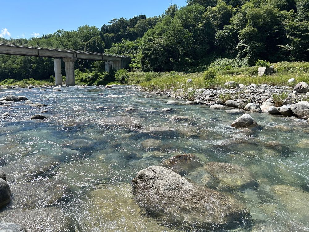 与田切川の写真