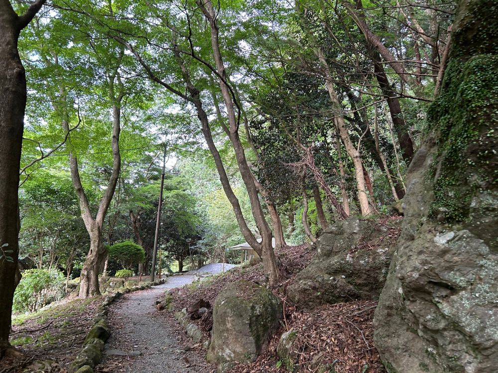 自然に囲まれた写真