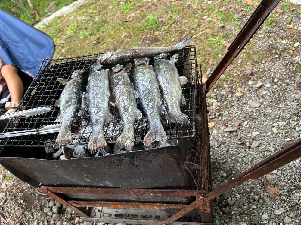 BBQコンロでニジマスを焼いている写真