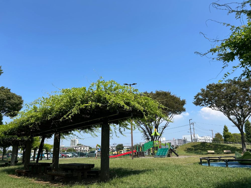 秋葉台公園内