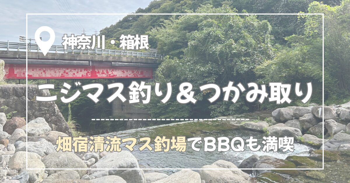 ニジマス&つかみ取りのアイキャッチ画像