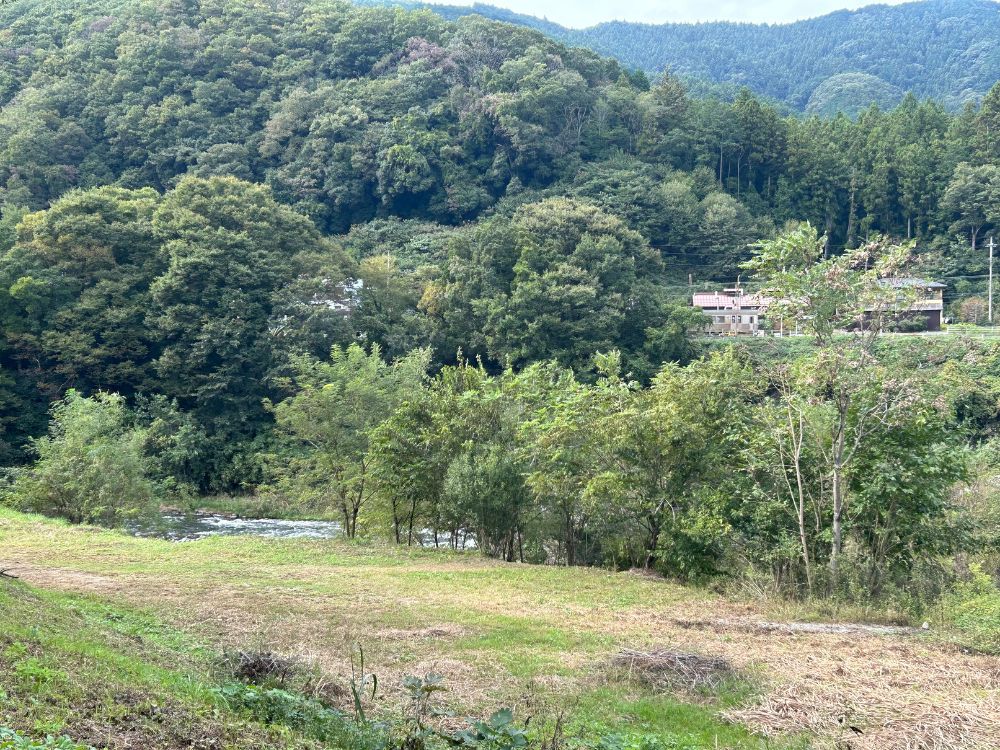 サイトから見える荒川の写真