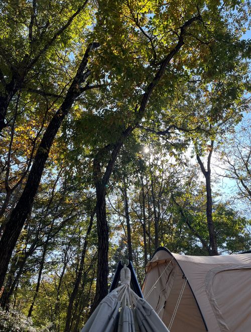 ハンモックに寝転がった景色の写真