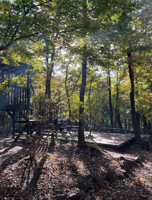 場内の様子が分かる写真