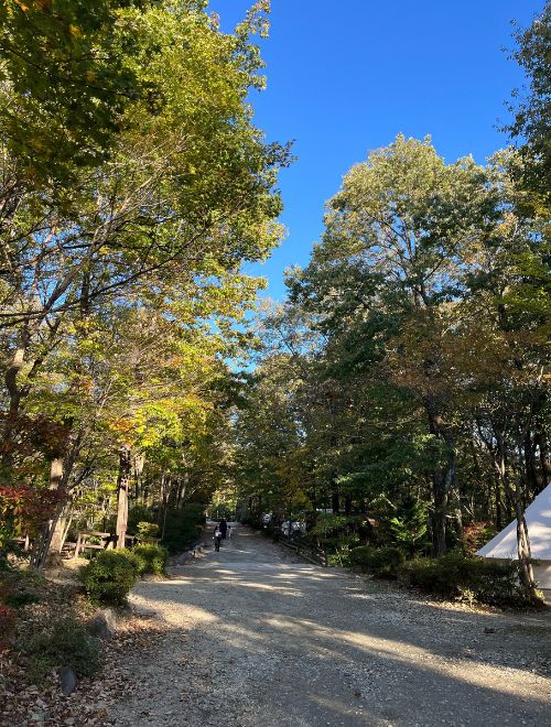 場内の様子が分かる写真