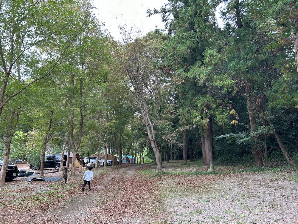 場内の様子の写真