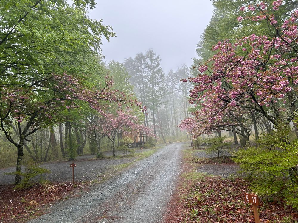 雨が降っているキャンプ場の写真