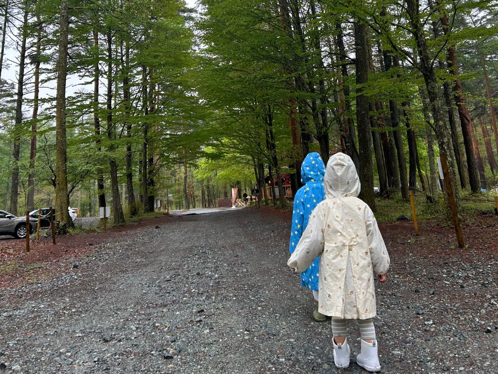 雨の中のお散歩の写真