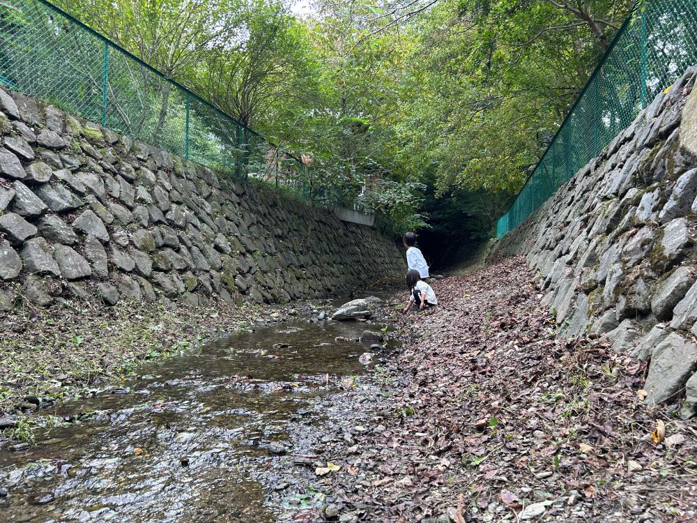 場内を流れる小川の写真