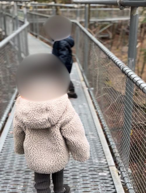 空中回廊の写真