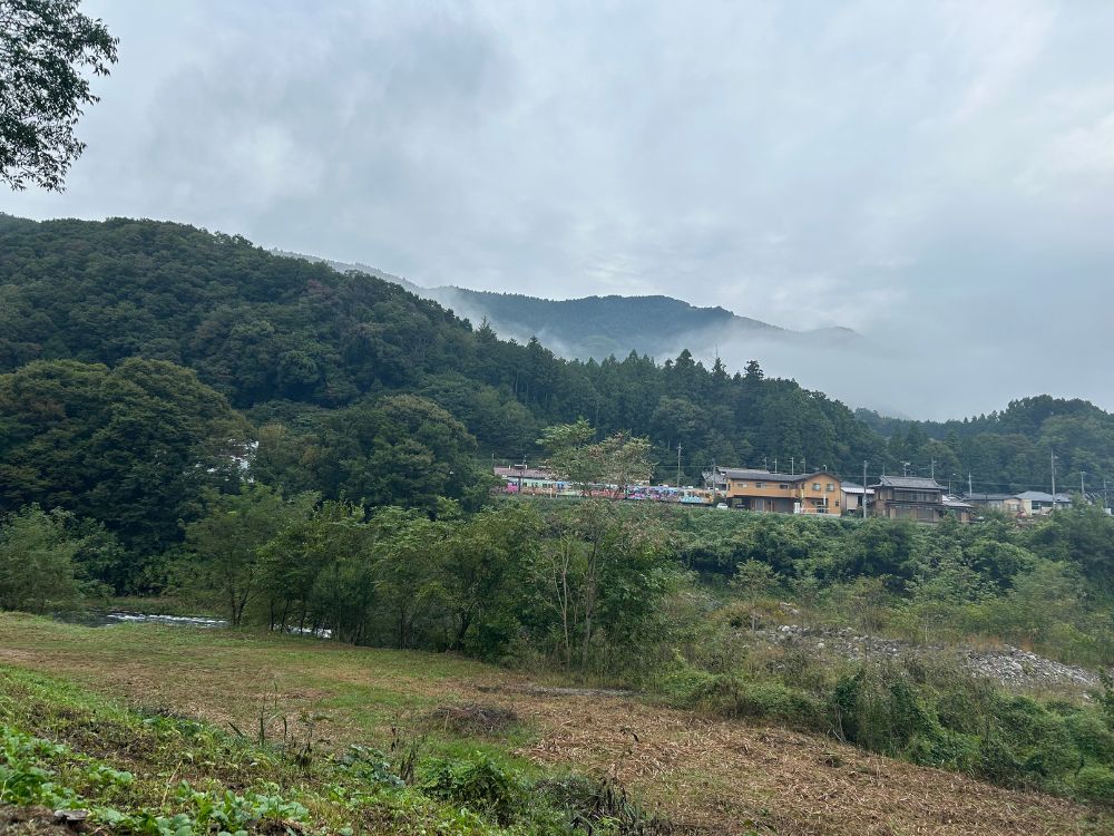 朝の景色の写真