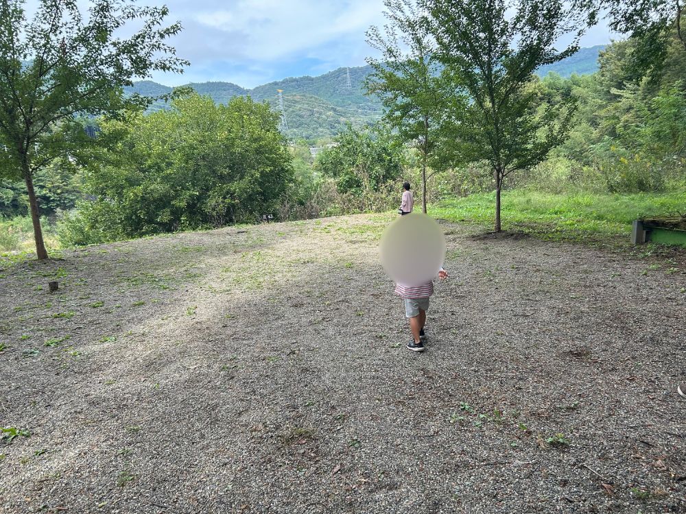 サイト全体の写真