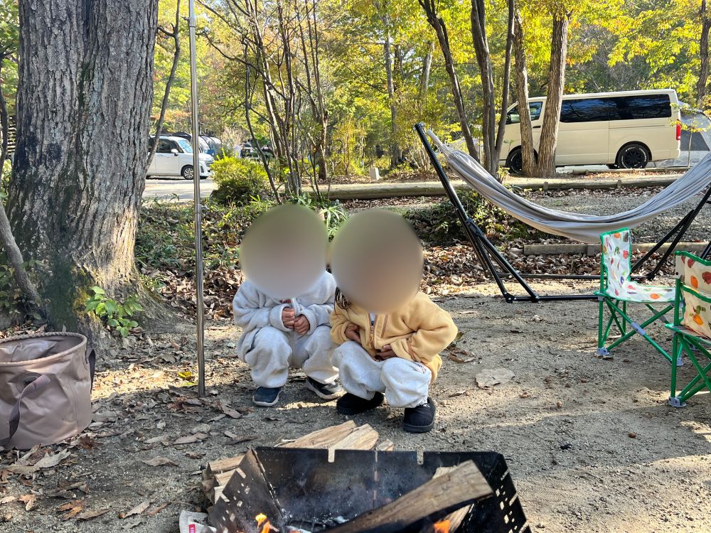 サイトの様子が分かる写真