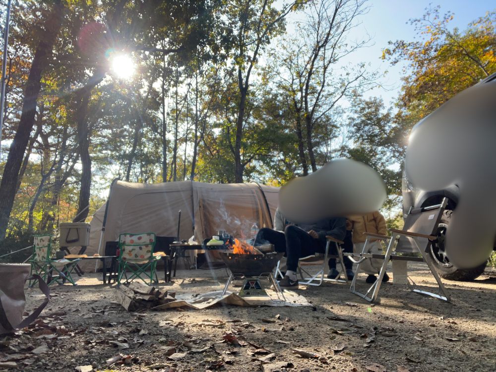 サイトの様子が分かる写真