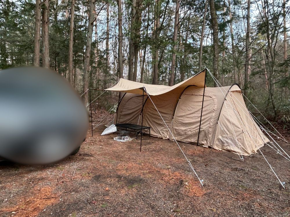 オートサイトの写真