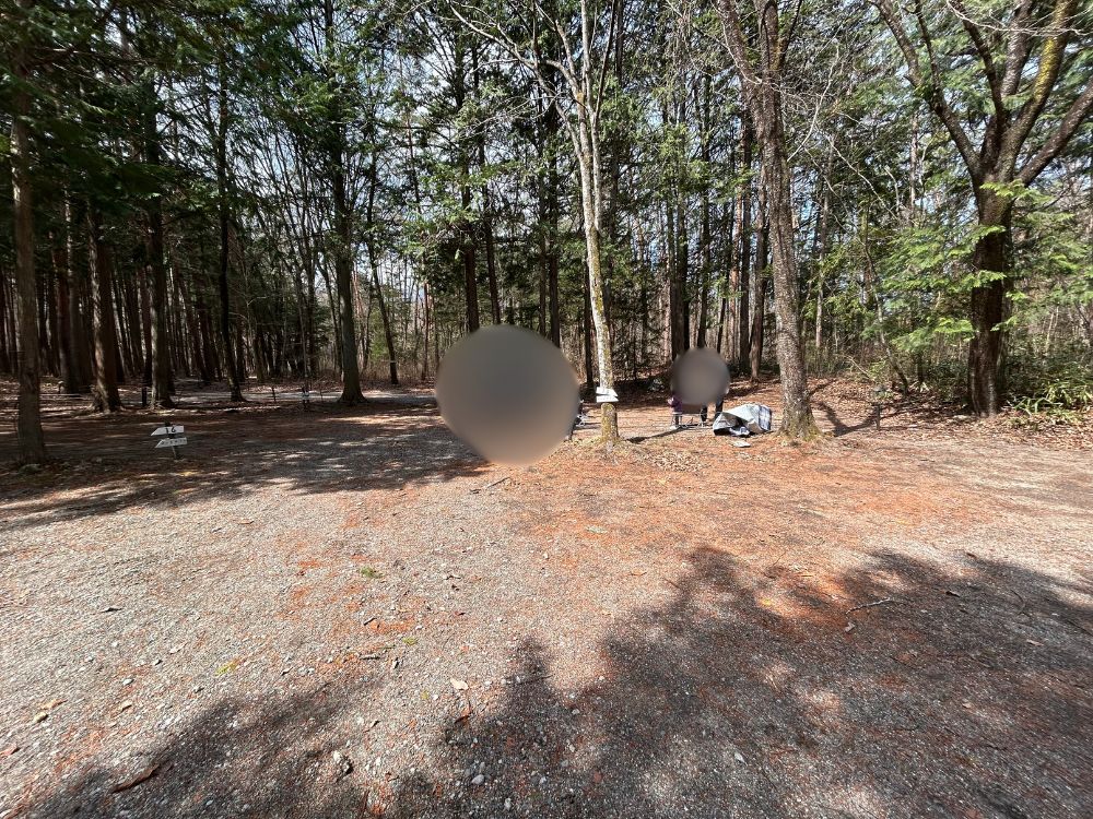 オートサイトの写真