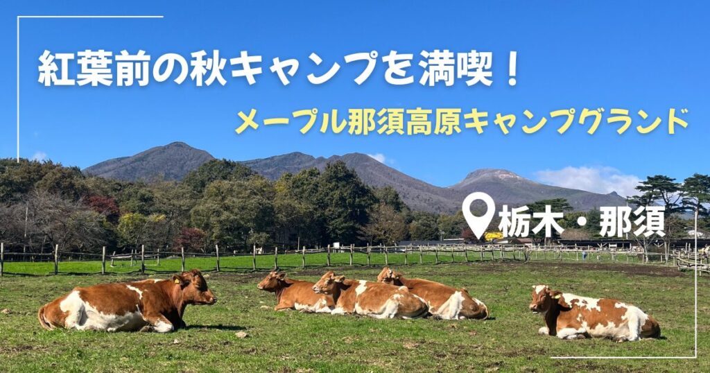 メープル那須高原の記事のアイキャッチ画像