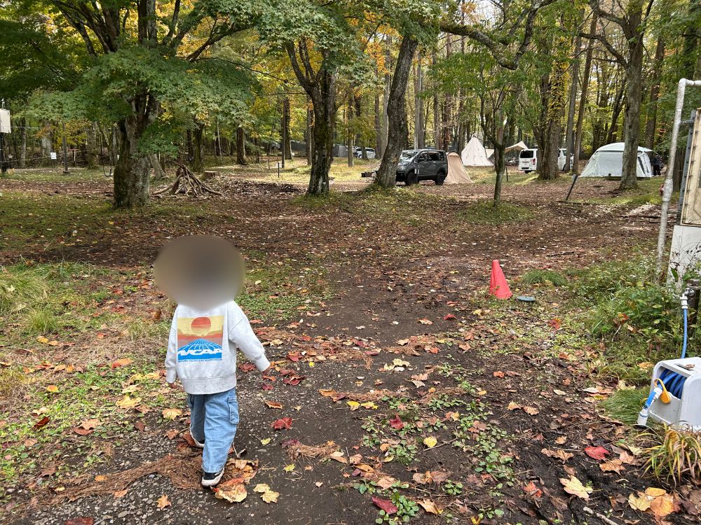 レイクロッジヤマナカの場内の様子