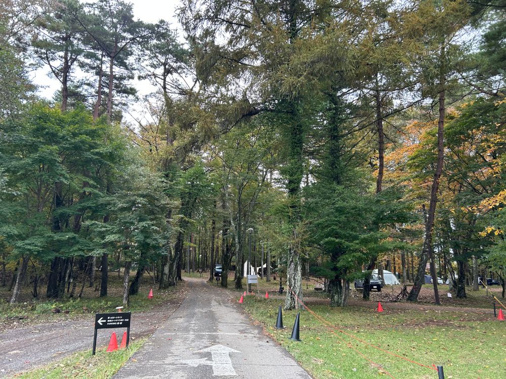 林間サイトの写真