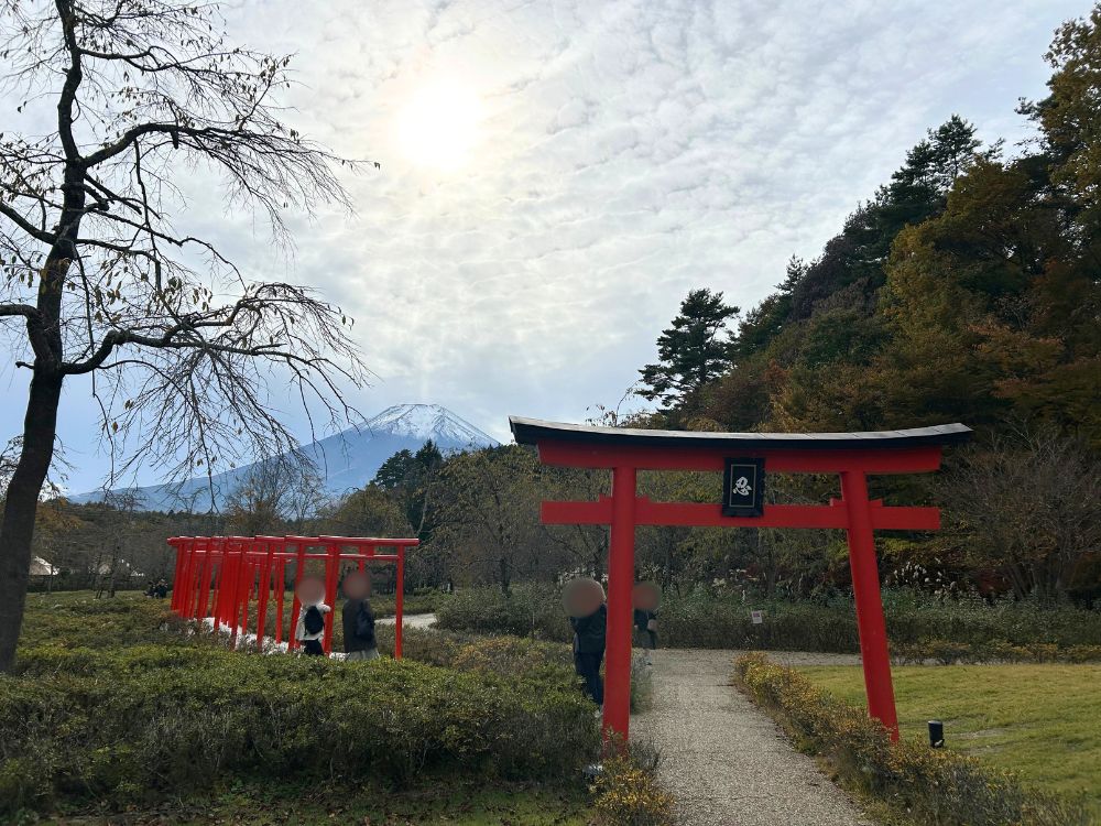 しのびの里から見える富士山の写真