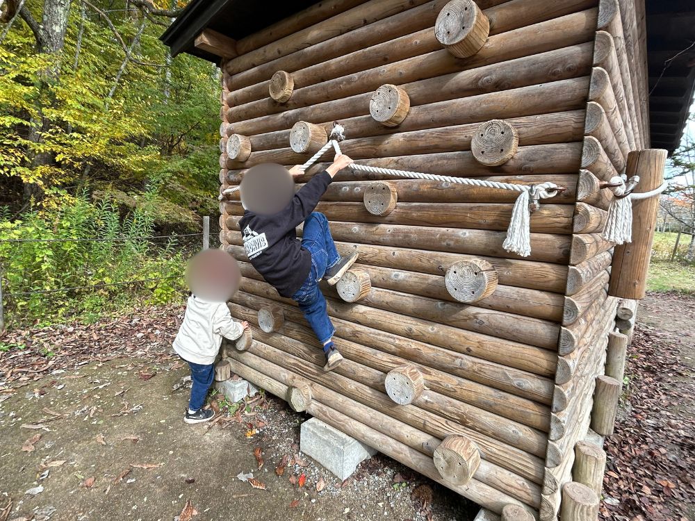 アスレチックをする子どもの写真