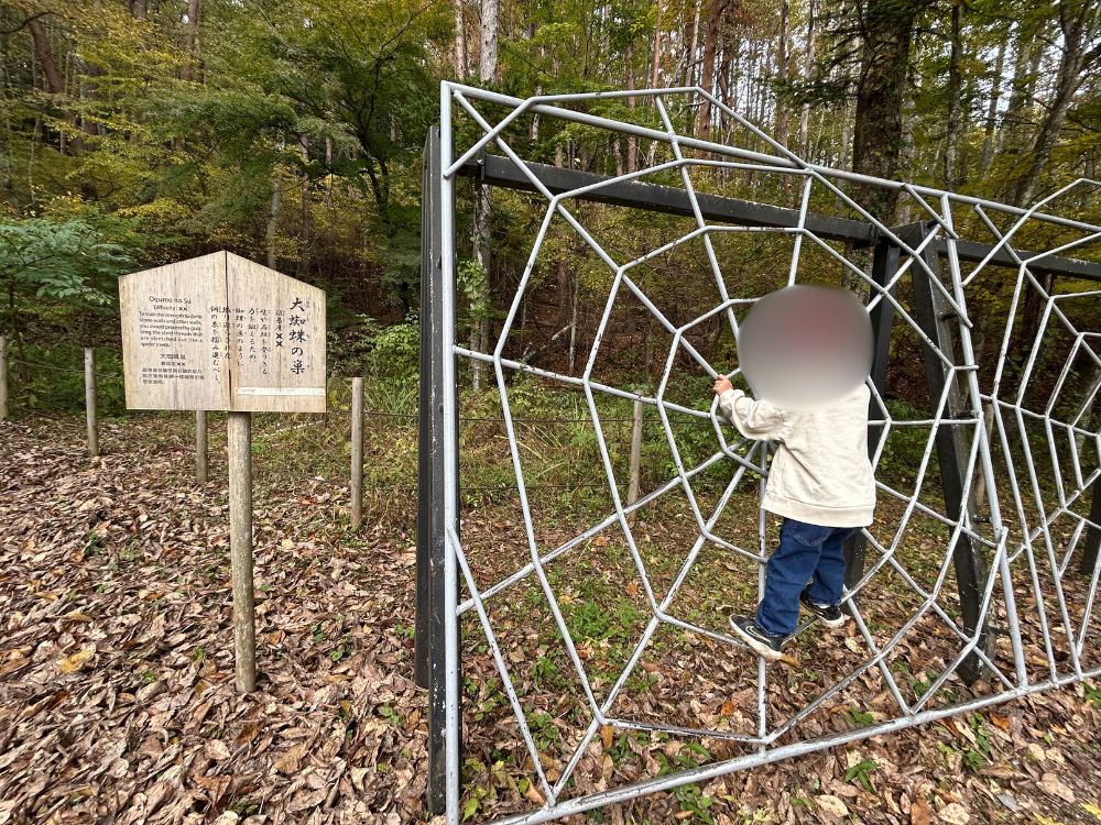 アスレチックをする子供の写真