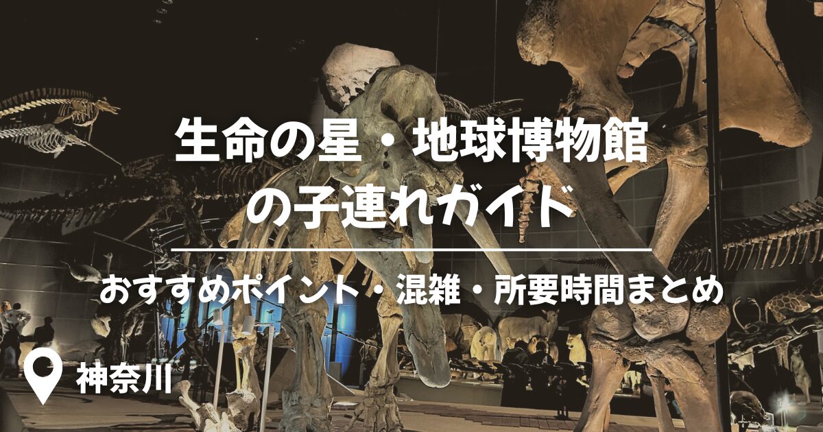 生命の星・地球博物館アイキャッチ画像