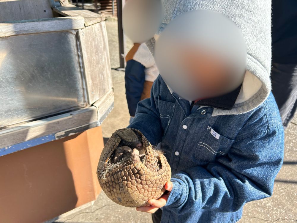 アルマジロを抱っこする写真