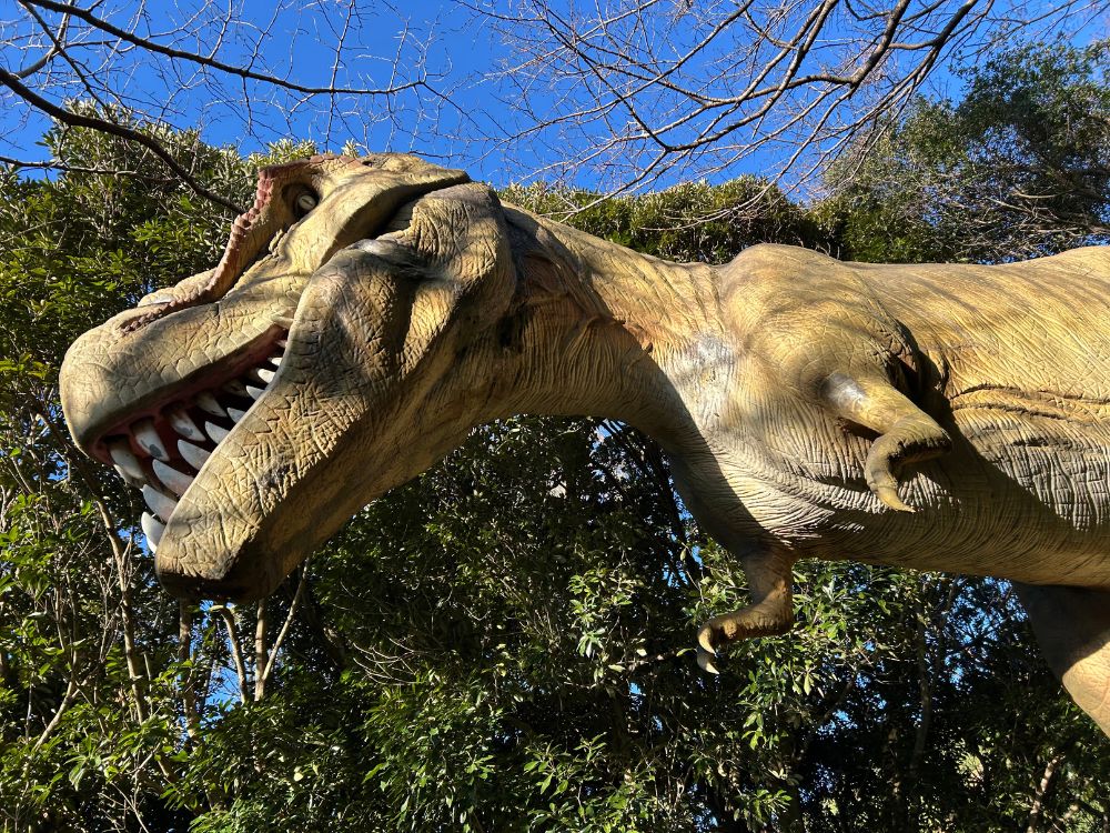 恐竜が棲む森にいる恐竜の写真