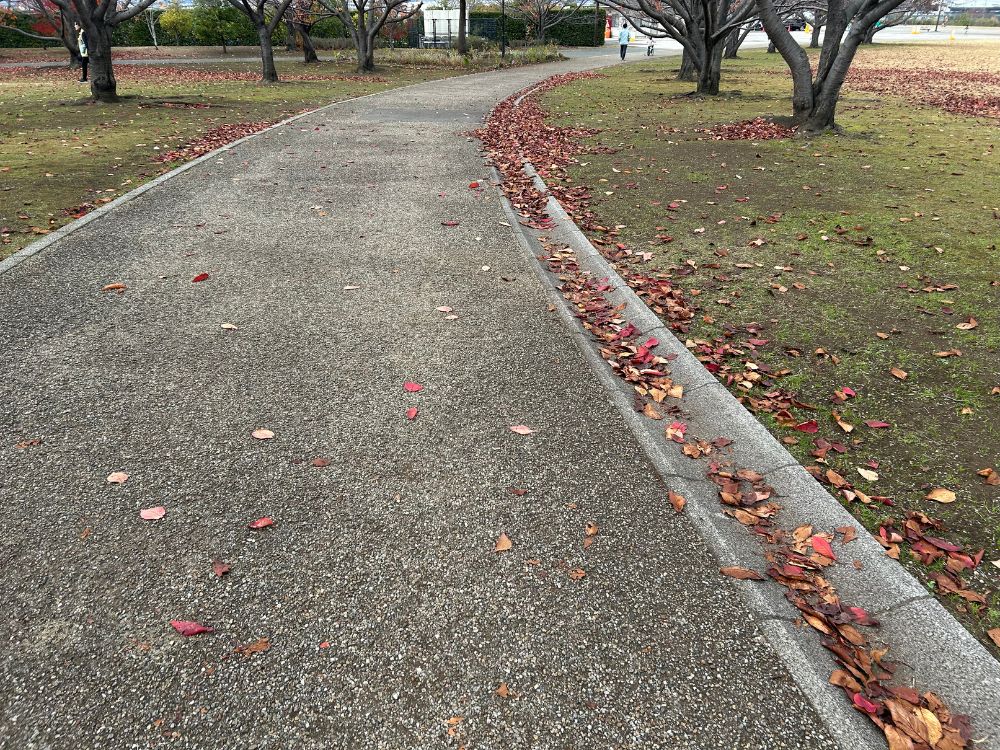 四之宮ふれあい広場の遊歩道の写真