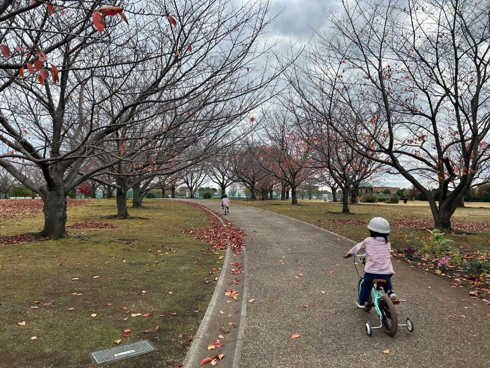 子どもが自転車に乗ってる写真