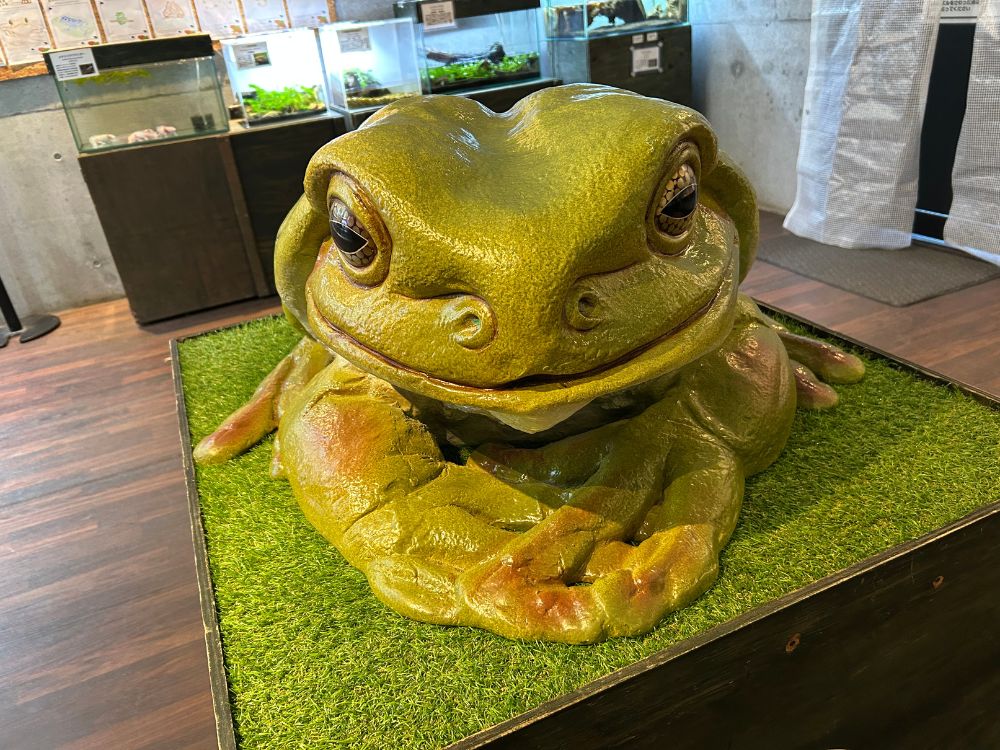 大きなカエルの置物の写真