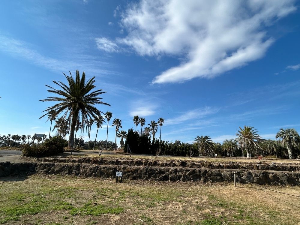 RECAMP館山の場内の写真