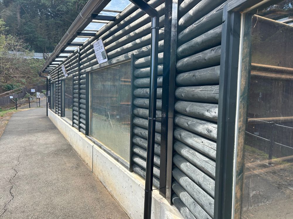 屋外のイグアナエリアの写真