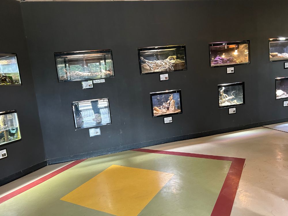 屋内エリアの写真