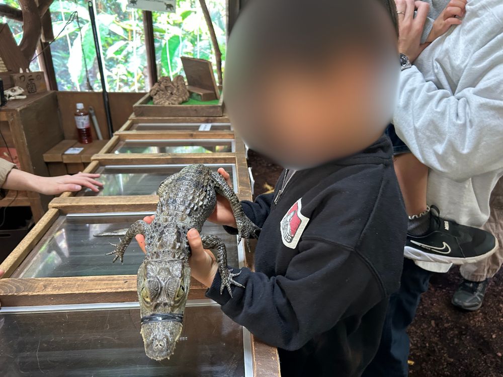 小さいワニと触れ合っている写真