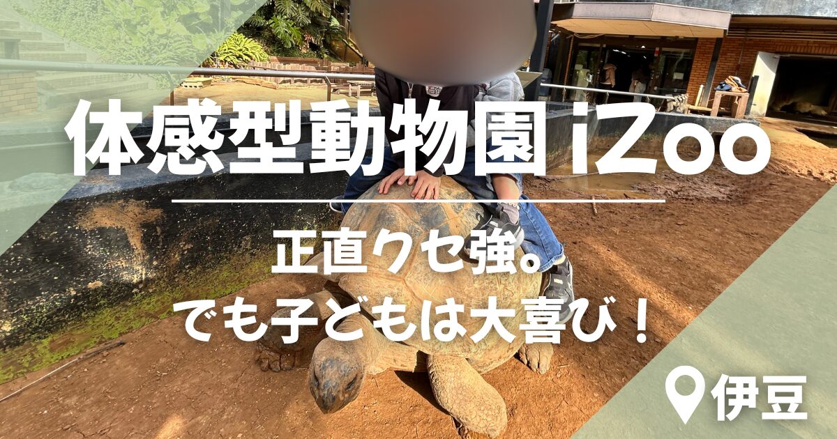 iZooアイキャッチ画像